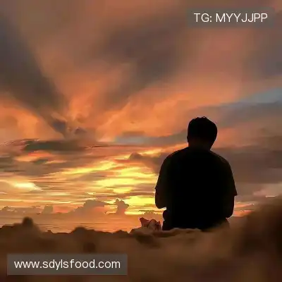 鲁能琛